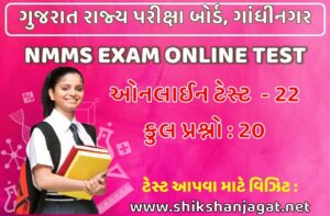 NMMS Exam Online Test 22