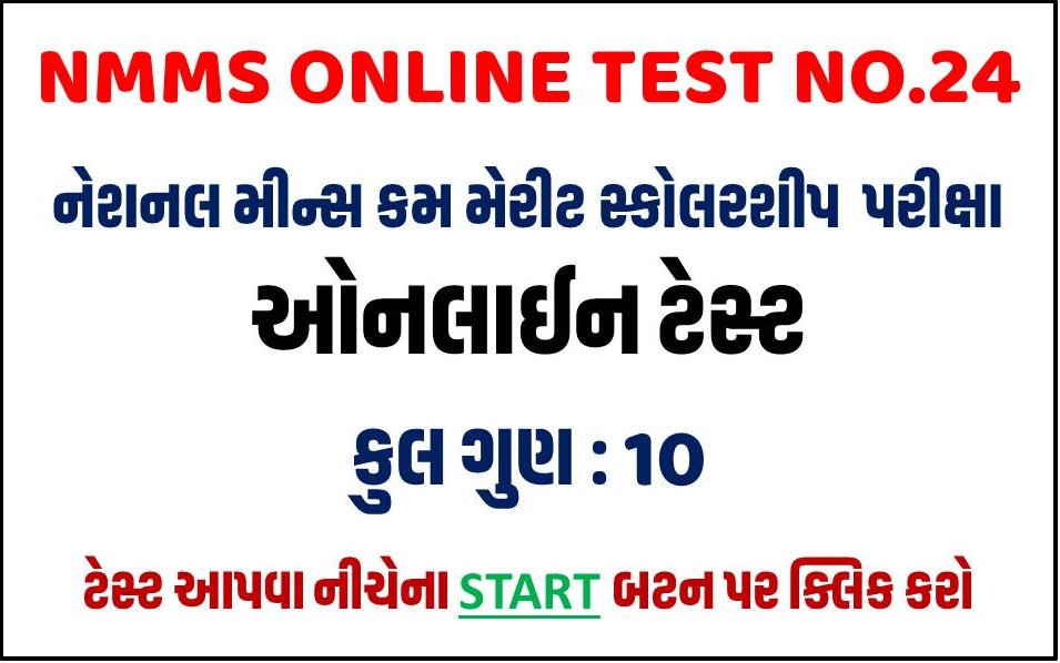 NMMS Online Test 24
