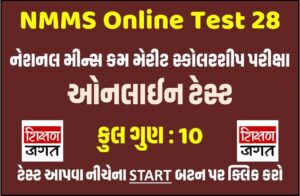 NMMS Online Test 28