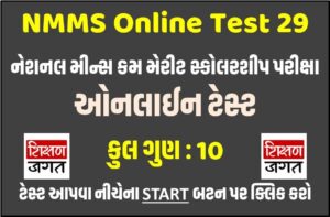 NMMS Online Test 29