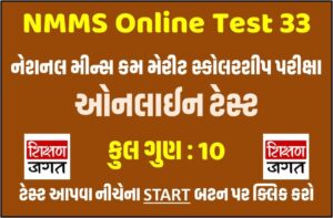 NMMS Online Test 33