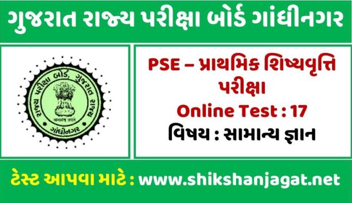 Exam PSE-SASE Vce Format