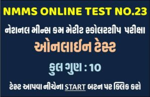 NMMS Online Test 23