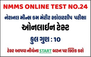 NMMS Online Test 24