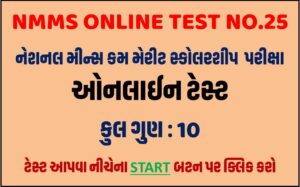 NMMS Online Test 25