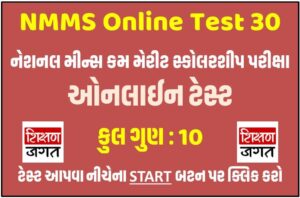 NMMS Online Test 30