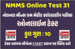 NMMS Test 31