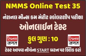 NMMS Online Test 35