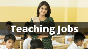 UT Teacher Bharti 2023